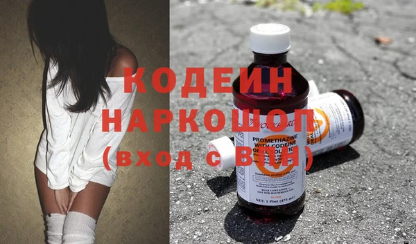 прущие грибы Алзамай