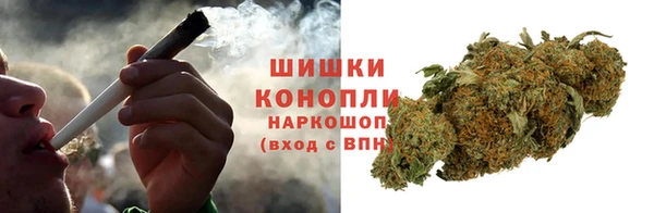 прущие грибы Алзамай