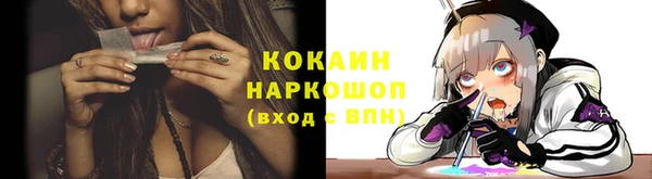прущие грибы Алексеевка