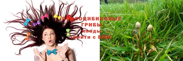 прущие грибы Алексеевка