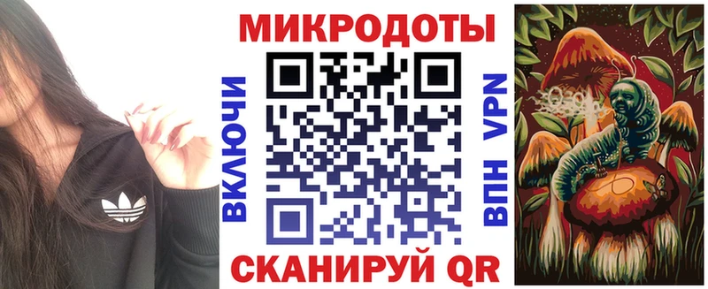 Галлюциногенные грибы Psilocybe  Ардатов 